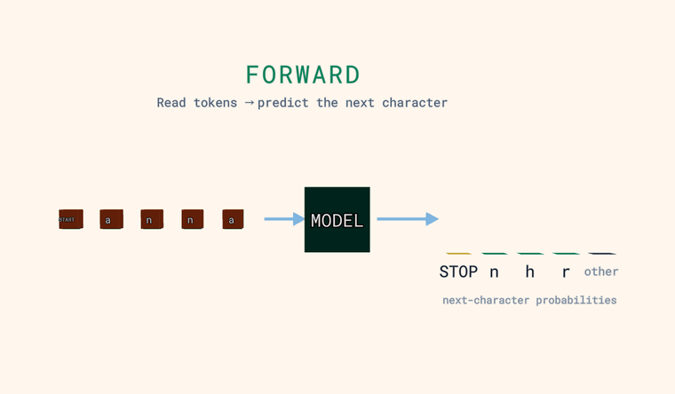 Forward: input characters feed a MODEL box; on the right, labeled bars show the probability of each next character, tallest highlighted